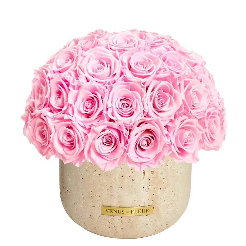 Brand new Venus Et Fleur eternity roses